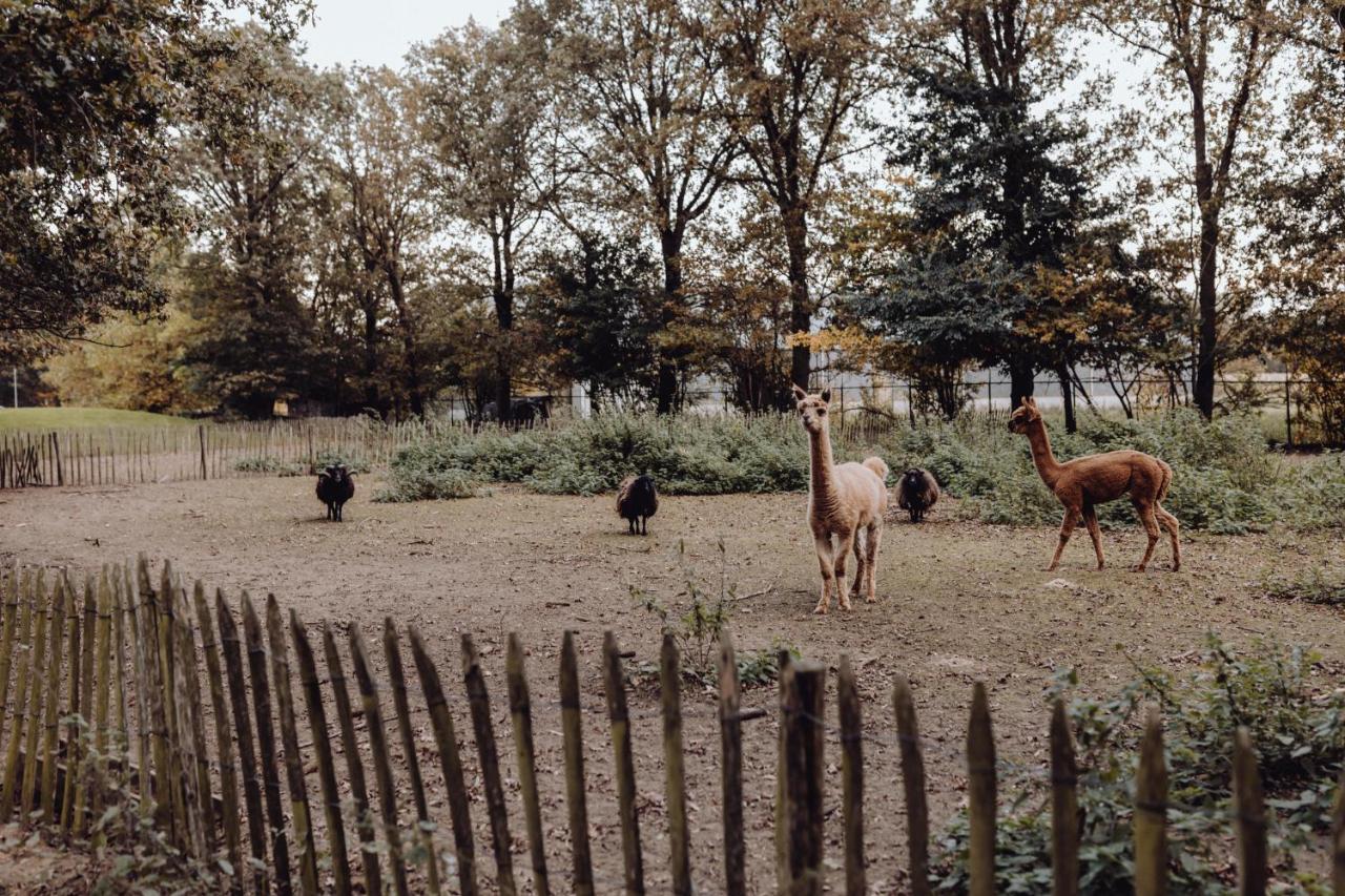 Het Hilkensberg Park Broekhuizen (Limburg) Exterior foto