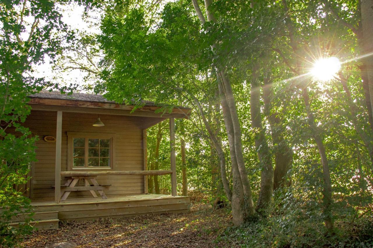 Het Hilkensberg Park Broekhuizen (Limburg) Exterior foto