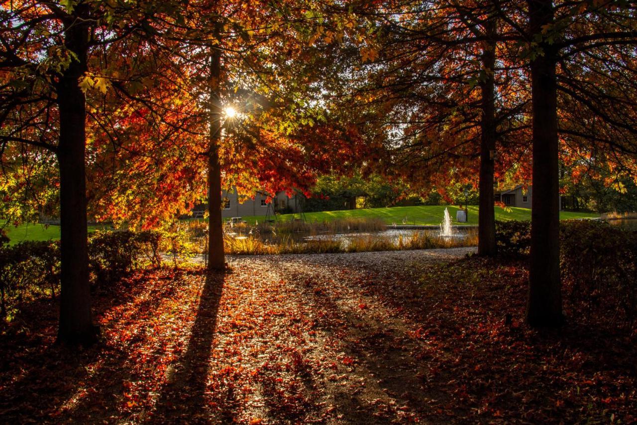 Het Hilkensberg Park Broekhuizen (Limburg) Exterior foto