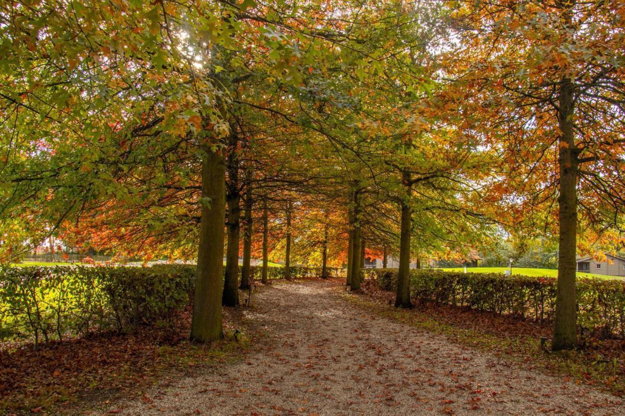 Het Hilkensberg Park Broekhuizen (Limburg) Exterior foto